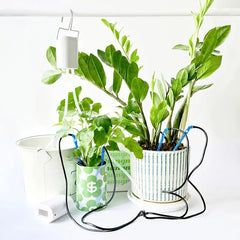 Sistema di irrigazione automatico per piante – 2–8 teste